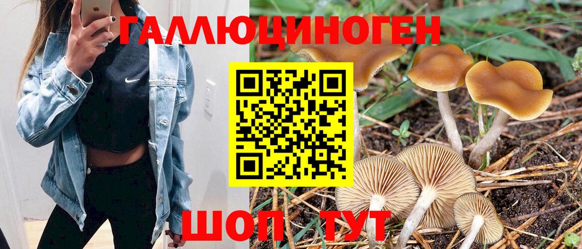 Галлюциногенные грибы ЛСД  Вход с VPN  Кохма 