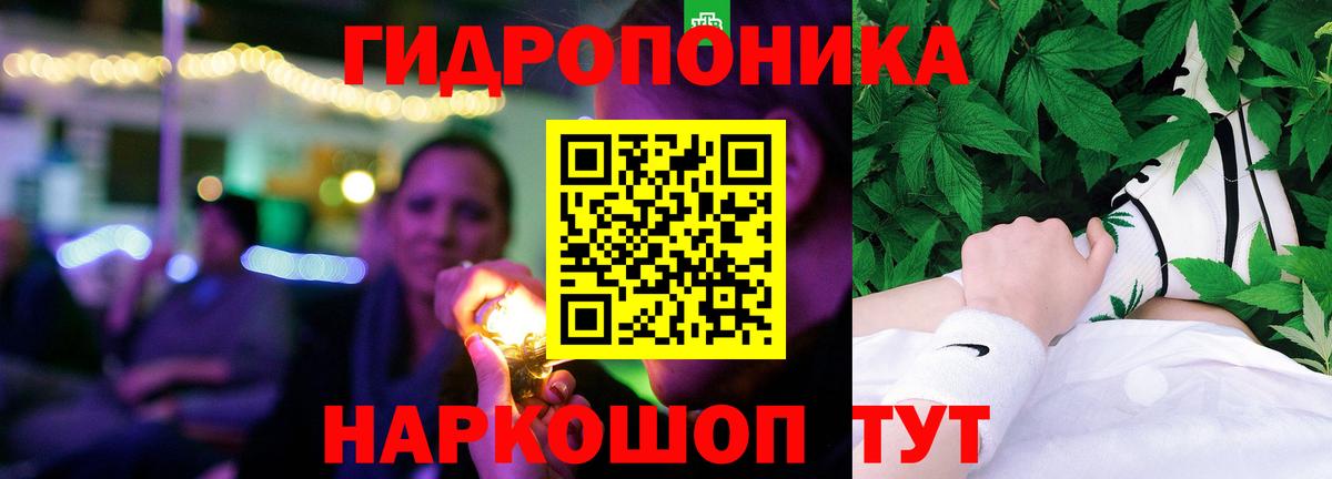 Каннабис конопля Кохма